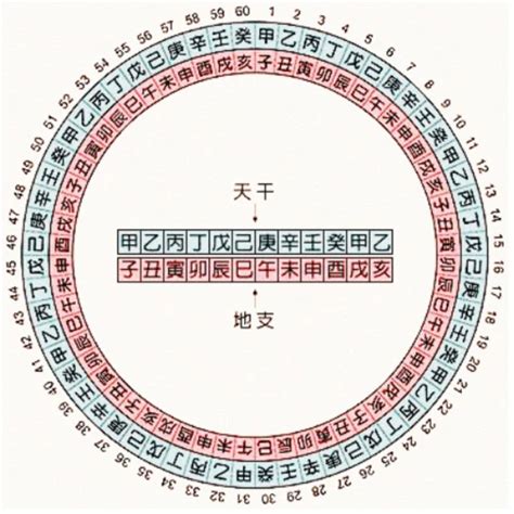 2001天干地支|干支对照表